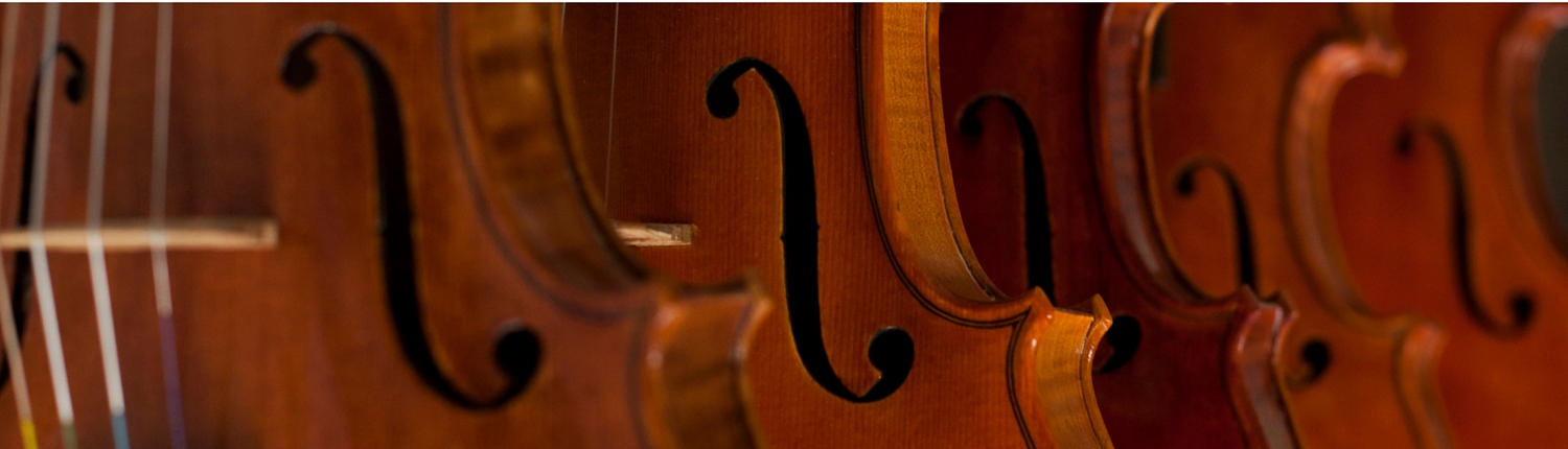 Violins-Header